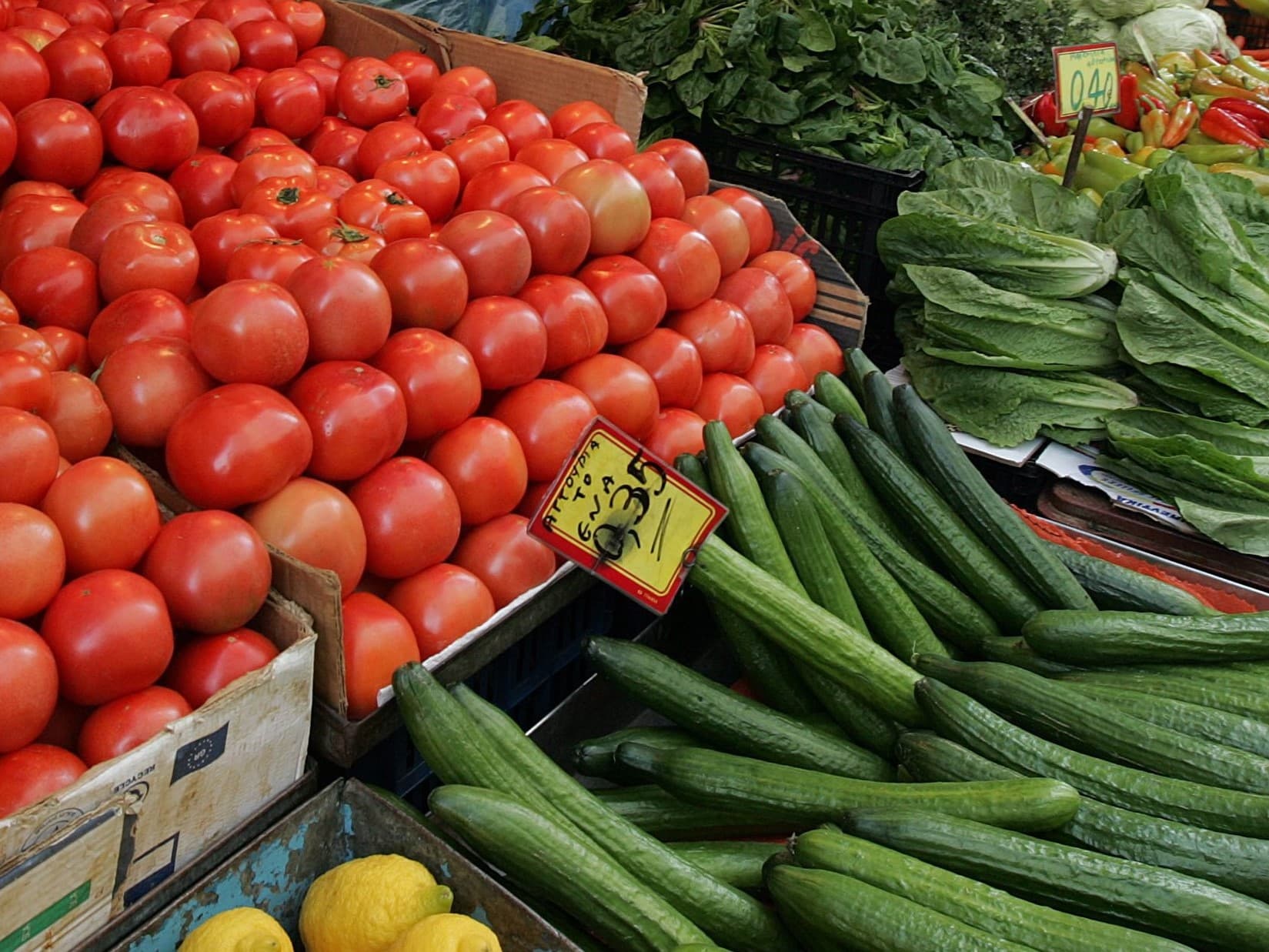 Produtos hortícolas