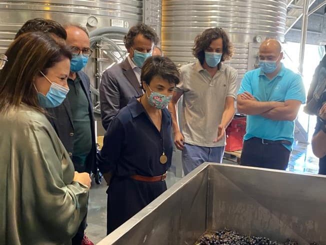 Ministra da Agricultura, Maria do Céu Antunes, acompanha vindimas na região Demarcada do Douro, São João da Pesqueira, 2 setembro 2020