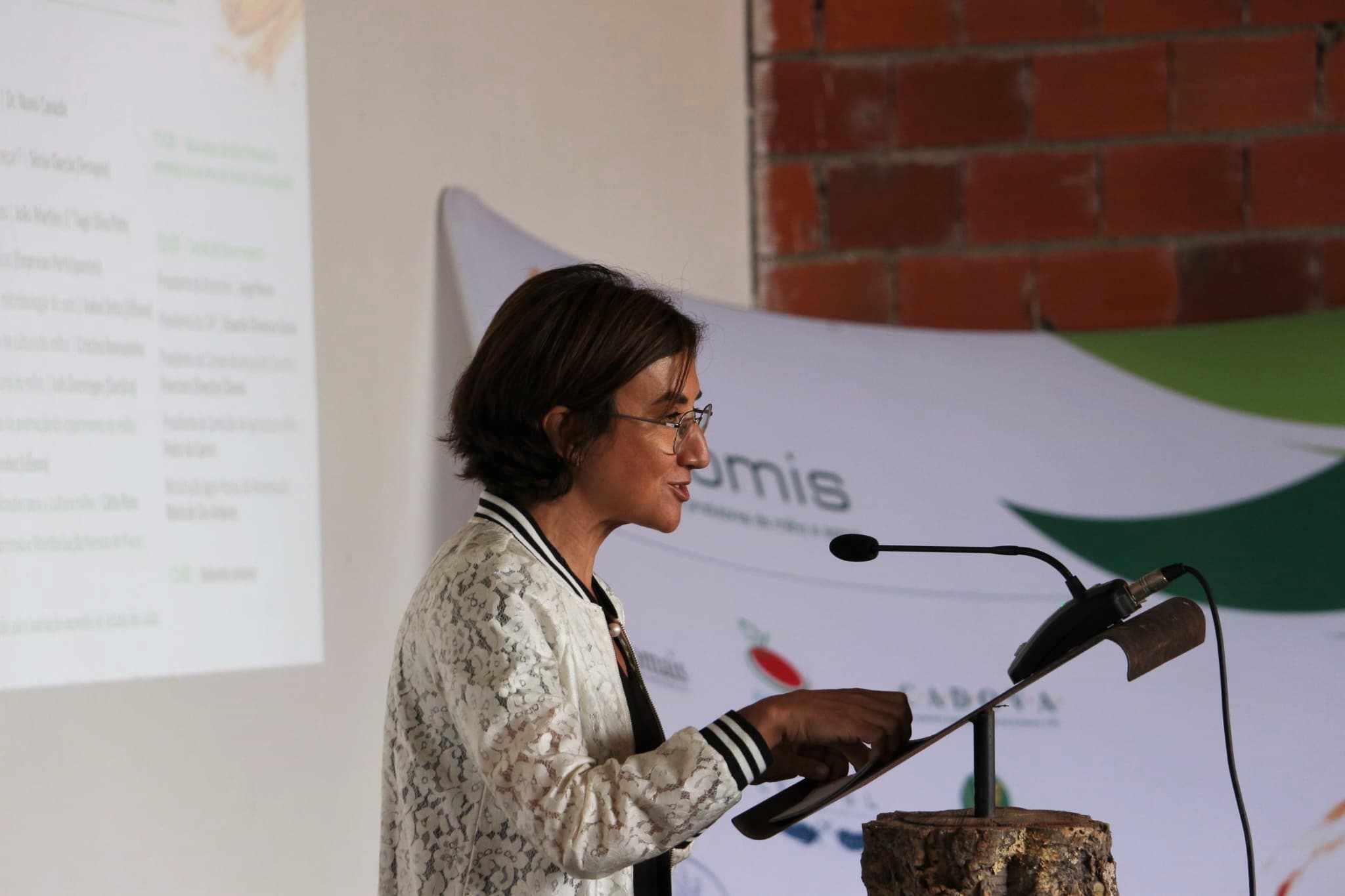Ministra da Agricultura e Alimentação, Maria do Céu Antunes