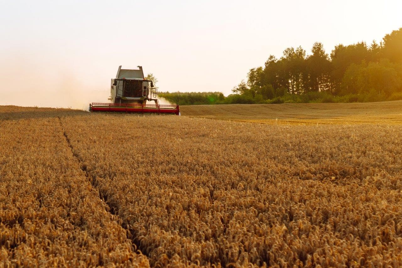 Estratégia nacional para reforçar produção de cereais