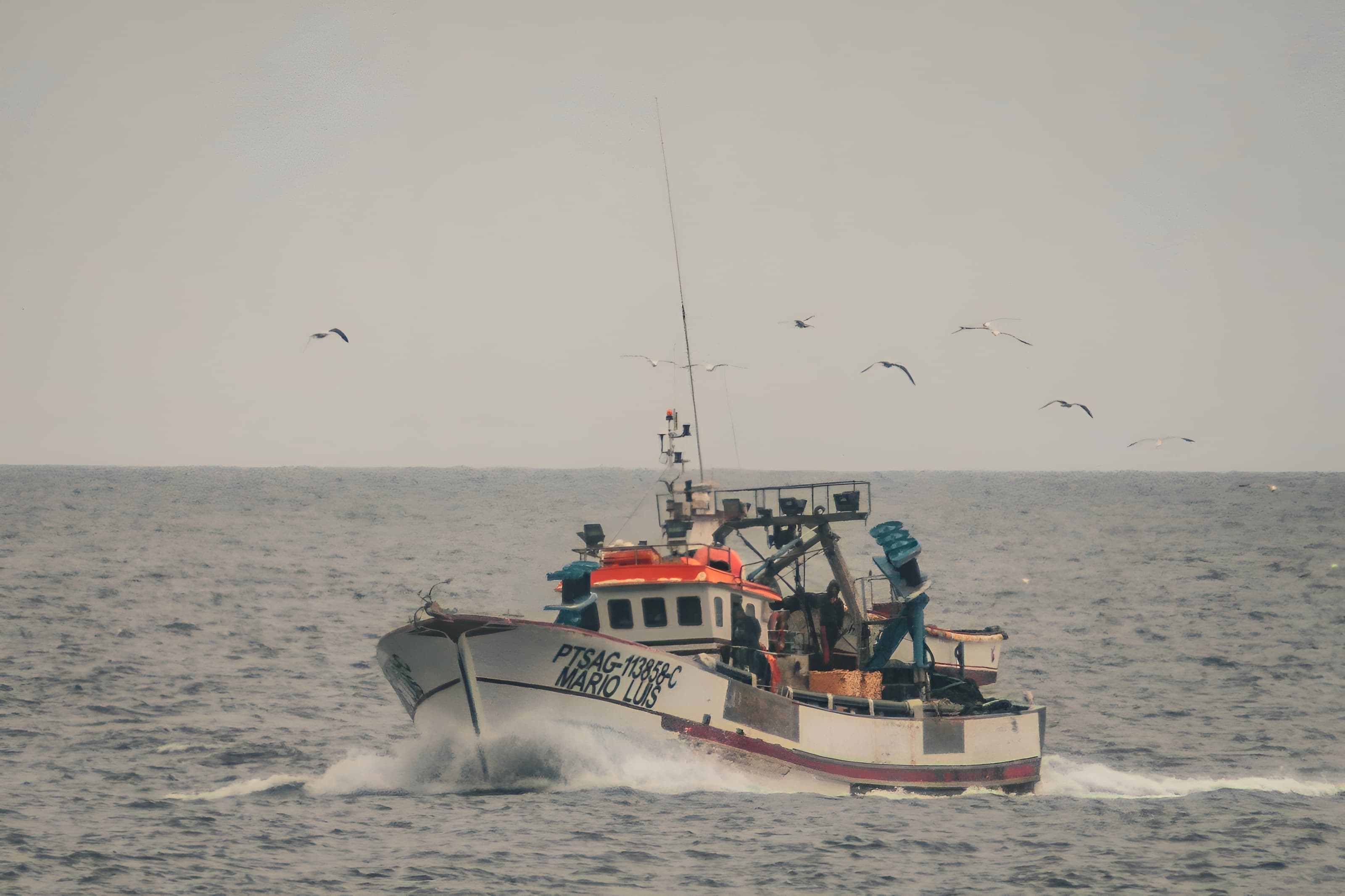 Pesca